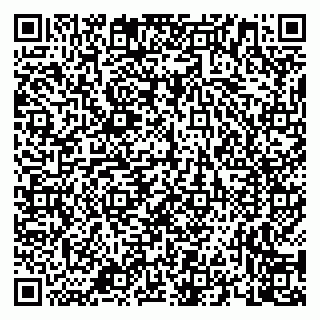 vCard 79658700183