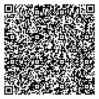 vCard 79658700205
