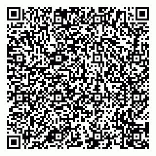vCard 79658700208