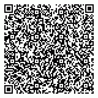 vCard 79658700220