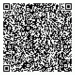 vCard 79658700233