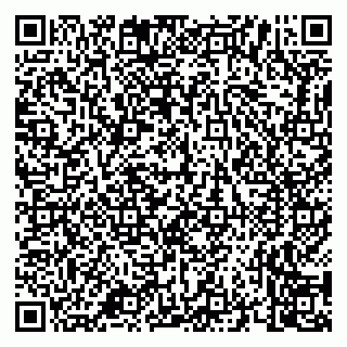 vCard 79658700273