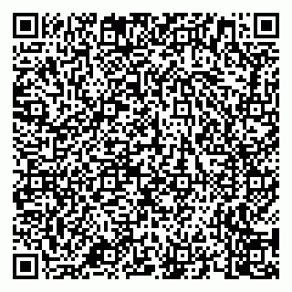 vCard 79658700285
