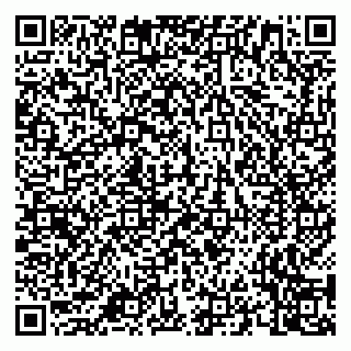 vCard 79658700289