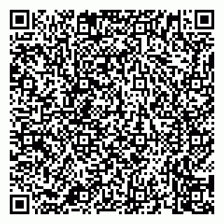 vCard 79658700293
