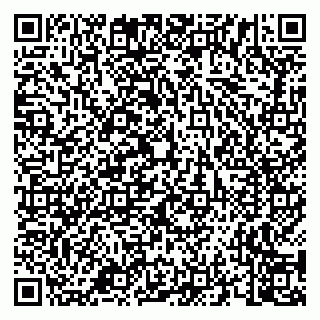 vCard 79658700310