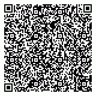 vCard 79658700313