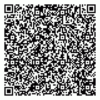 vCard 79658700319