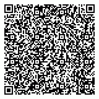 vCard 79658700321