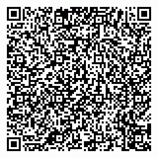 vCard 79658700329