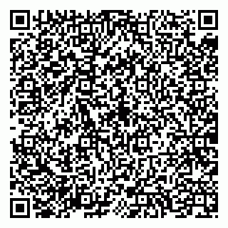 vCard 79658700331