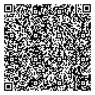vCard 79658700333