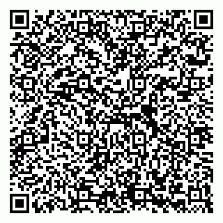 vCard 79658700379
