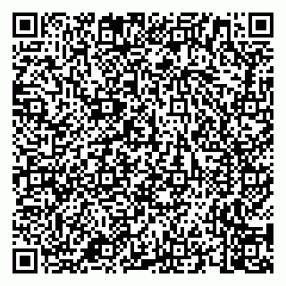 vCard 79658700380