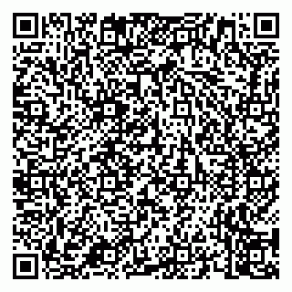 vCard 79658700381