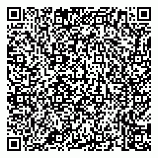 vCard 79658700383