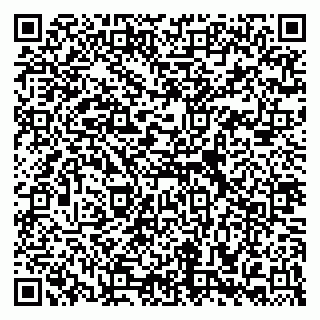 vCard 79658700386