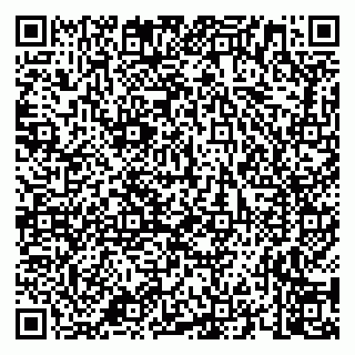 vCard 79658700387