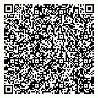 vCard 79658700389