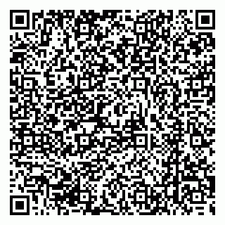 vCard 79662400331
