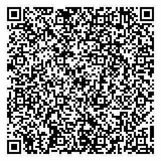 vCard 79665550001