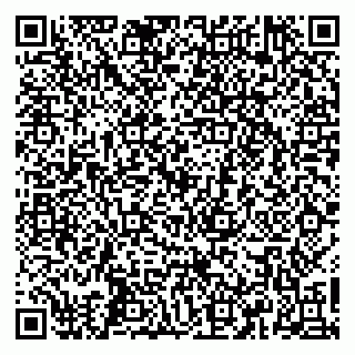 vCard 79665550003