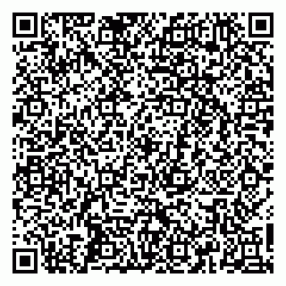 vCard 79665550004