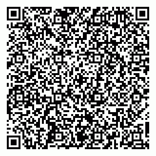 vCard 79665550008