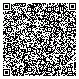 vCard 79665550009