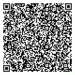 vCard 79665550010