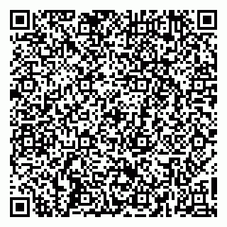 vCard 79665550011