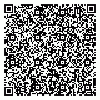 vCard 79665550012