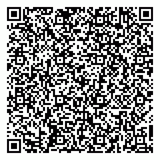 vCard 79665550013