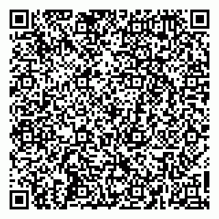 vCard 79665550018