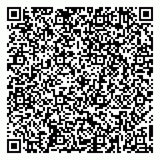 vCard 79665550031