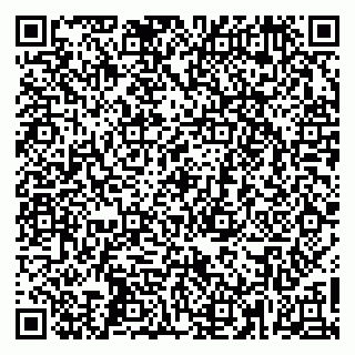 vCard 79665550039