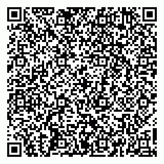 vCard 79665550041