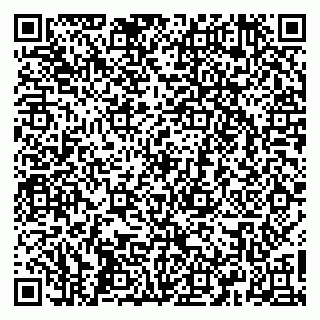 vCard 79665550081