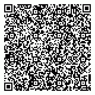 vCard 79665550093