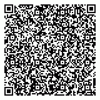 vCard 79665550095