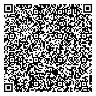 vCard 79665550099