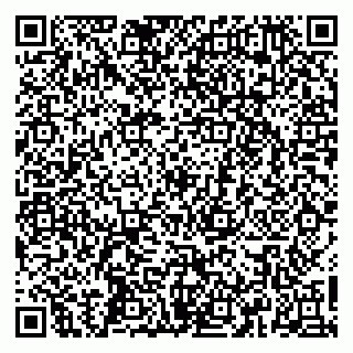 vCard 79665550100