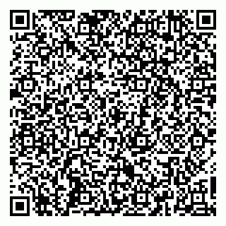 vCard 79665550101