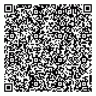 vCard 79665550119