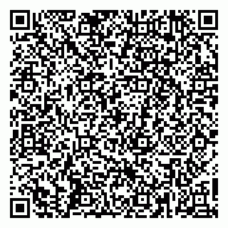 vCard 79665550131