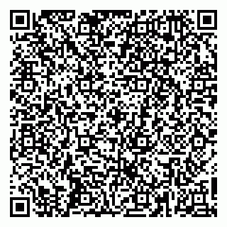 vCard 79665550138