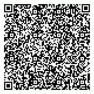 vCard 79665550139