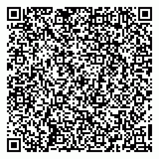 vCard 79665550285