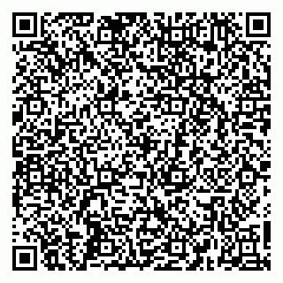 vCard 79665550295
