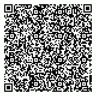 vCard 79665550304